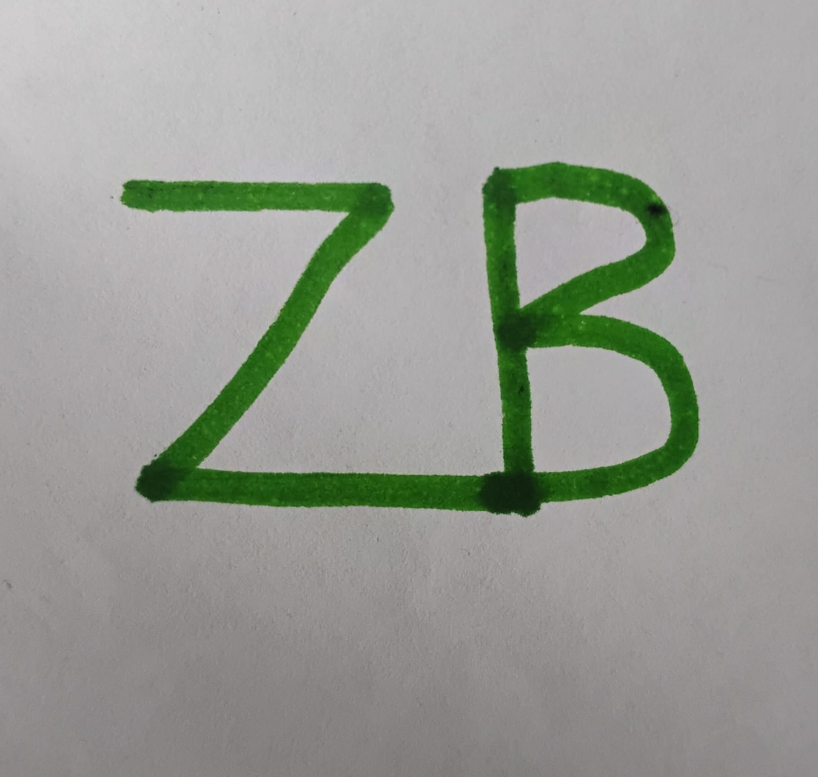 zoombazaaronline.store